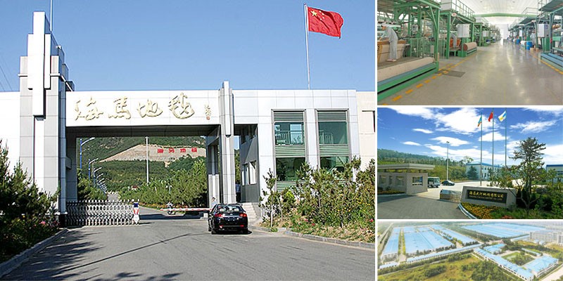 关于海马地毯集团有限公司